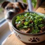 A bowl of Beef and Parsley Fresh Energy Dish, garnished with fresh parsley, with a dog in the background.
