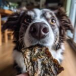 A dog's nose is close to a piece of Beef Spinach Iron Jerky held by a hand.