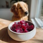 A bowl of deep red Beetroot Bone Broth Circulation Gummies for Dogs with a golden retriever looking on in the background.