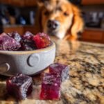 Close-up of purple Berry Blast Bone Broth Gummies for Dogs in a bowl, with a curious Golden Retriever in the background.
