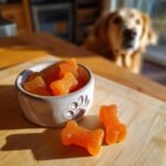 Bright orange, bone-shaped Carrot & Chicken Bone Gummy Treats for Dogs in a paw-print bowl, with a dog watching in the background.