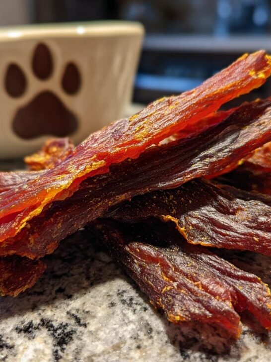 A close-up shot of homemade Chicken Mango Summer Jerky, showcasing its texture and rich color.