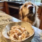 A golden retriever looks longingly at a bowl of shredded chicken and millet, a healthy mix for sensitive dogs.