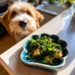 A cute dog looks curiously at a blue bowl filled with chicken and parsley, a fresh breath meal.