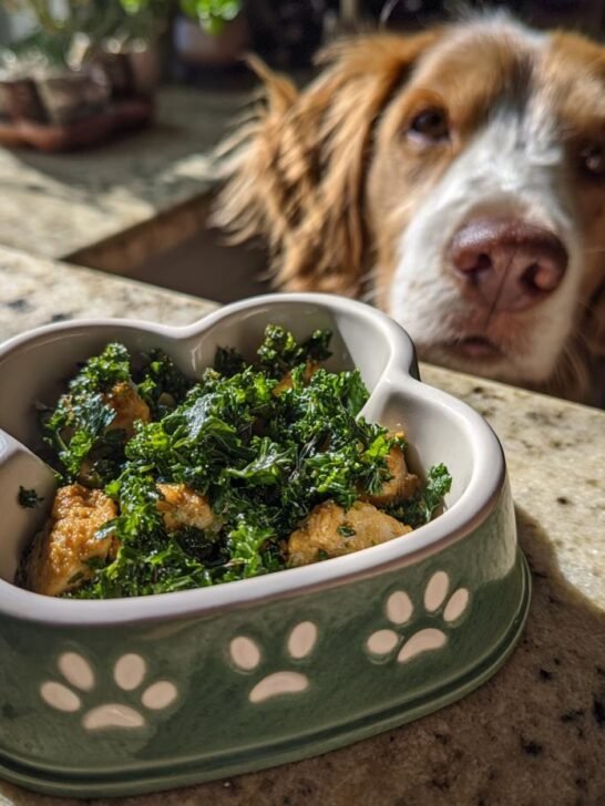 A dog looks eagerly at a dog bowl filled with chicken and parsley, a fresh breath meal for oral freshness.