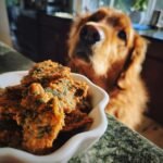 A golden retriever looking longingly at a bowl of Chicken Parsley Joint Support Jerky.