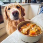 A bowl of hearty Chicken and Pumpkin Winter Stew sits on a counter, with a curious Golden Retriever looking on.