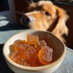 A bowl of amber-colored Cooling Summer Bone Broth Gummies for Dogs with a golden retriever looking eagerly in the background.