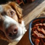 A cute dog looks longingly at a bowl of Chicken Apple Fresh Breath Jerky treats.