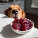 A golden retriever eagerly looks down at a small white bowl filled with red Cranberry Bone Broth Urinary Support Gummies for Dogs.