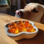A yellow Labrador dog looks eagerly at a small dish of amber-colored Minimal Ingredient Bone Broth Gummies.