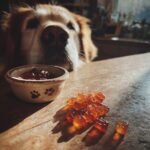 Golden Retriever dog eagerly looking at a pile of amber Skin & Coat Bone Broth Gummies on a wooden table.