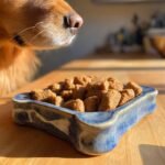 A dog's nose hovers over a blue, bone-shaped bowl filled with Homemade Chicken and Apple Energizing Mini Kibbles.