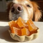 A golden retriever dog curiously sniffs a small bowl of orange Papaya Bone Broth Digestive Gummies for Dogs.
