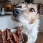 A cute dog with brown and white fur looks intently at a bowl of Turkey Apple Slim Jerky.
