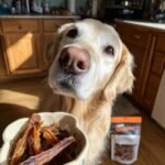 A golden retriever looks eagerly at a bowl of homemade Duck and Pear Soft Chew Jerky, with a bag of jerky in the background.