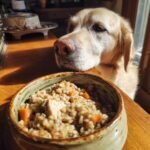 A golden retriever stares intently at a bowl of Homemade Chicken and Barley Slow Bake Dinner Kibble on a wooden surface.