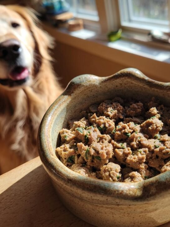 A bowl of Homemade Turkey and Millet Hypoallergenic Kibbles with a happy Golden Retriever looking on in the background.