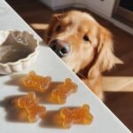 Four bone-shaped Stress Relief Bone Broth Gummies for Dogs on a counter with a curious Golden Retriever looking over the edge.