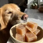 A golden retriever looks intently at a bowl filled with Raw-Friendly Bone Broth Gummy Treats.