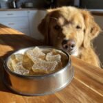 A golden retriever eagerly looks at a bowl of homemade Winter Comfort Bone Broth Gummy Bones.