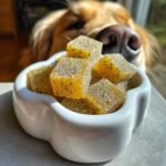 A golden retriever's nose hovers over a white bowl filled with Herbal Wellness Bone Broth Gummies for dogs.