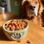 A bowl filled with Homemade Beef and Carrot Crisp Oven Kibbles with a Golden Retriever looking eagerly in the background.