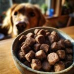 A close-up of Homemade Beef and Lentil Strong Bone Kibble Bites in a bowl, with a golden retriever looking eagerly in the background.