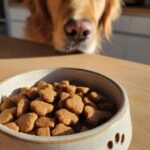 A bowl filled with Homemade Beef and Pumpkin Daily Strength Kibbles, with a golden retriever eagerly looking on.