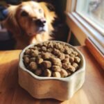 A ceramic bowl filled with Homemade Beef and Banana Coat Shine Kibble, with a golden retriever looking on in the background.