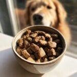 A close-up of a bowl filled with Homemade Beef and Oatmeal Balanced Daily Kibble, with a golden retriever looking on in the background.