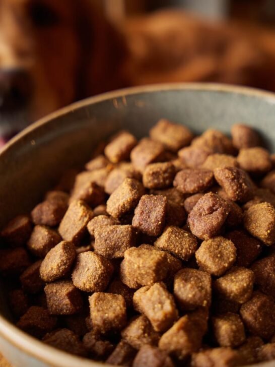 Close-up of a bowl filled with Homemade Beef and Oatmeal Balanced Daily Kibble, with a golden retriever blurred in the background.