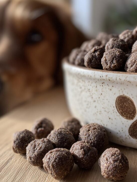 A dog looks longingly at a bowl full of Homemade Beef and Quinoa Superfood Kibbles.