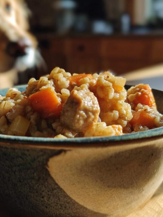 A close-up of a bowl filled with Homemade Chicken and Barley Slow Bake Dinner Kibble, with a dog watching in the background.
