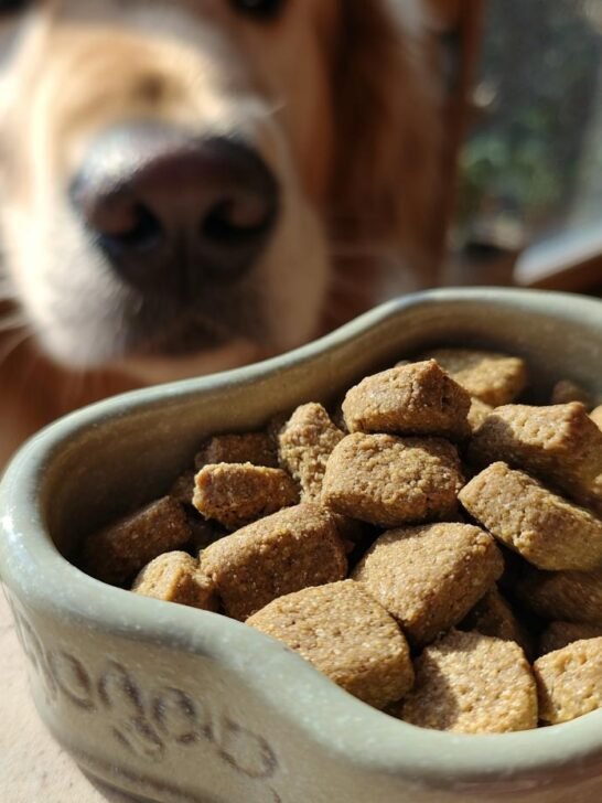A bowl filled with Homemade Chicken and Flaxseed Omega Boost Kibbles, with a golden retriever looking eagerly in the background.