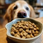 A bowl of Homemade Chicken and Flaxseed Omega Boost Kibbles with a curious Golden Retriever looking on.