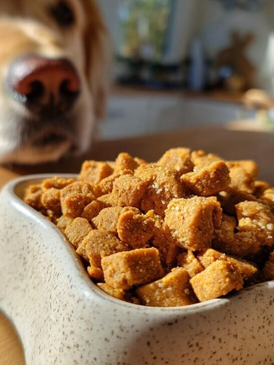 A bowl filled with Homemade Chicken and Pea High Fiber Kibble, with a golden retriever looking eagerly in the background.