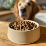 A bowl filled with Homemade Chicken and Pumpkin Digestive Kibble Mix, with a curious Golden Retriever in the background.