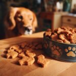 A bowl full of Homemade Chicken and Sweet Potato Cozy Oven Kibbles with a golden retriever looking on.