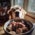 A bowl filled with Homemade Crispy Lamb and Parsnip Protein Kibble, with a golden retriever looking eagerly in the background.