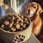 A bowl full of Homemade Turkey and Millet Hypoallergenic Kibbles with a happy Golden Retriever waiting in the background.