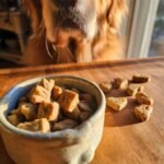 A dog eagerly looks down at a small bowl filled with Homemade Turkey and Sweet Pea Lean Crunch Kibble on a wooden surface.