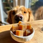 A golden retriever peeks over a wooden counter at a small bowl of Immune Boost Bone Broth Gummy Treats.