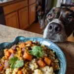 A bowl of Lamb and Cauliflower Power Plate with a curious dog looking over the counter.