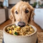 A golden retriever eagerly looking at a bowl of Lamb and Zucchini Muscle Meal.