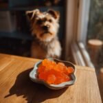 A small dish of orange Pumpkin Bone Broth Digestive Gummies for Dogs sits on a wooden table, with a small dog looking on in the background.