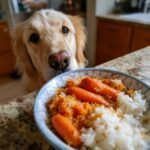 A golden retriever dog looking intently at a bowl of rabbit and carrot dinner for dogs with allergies.