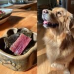 A bowl of Salmon Spinach Omega Jerky next to a happy Golden Retriever dog.