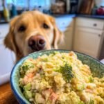 A Golden Retriever dog looking curiously at a bowl of Turkey and Broccoli Fitness Bowl for Active Dogs.