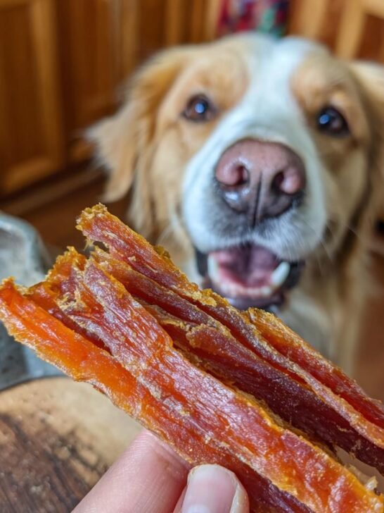 A hand holds up several strips of Turkey Carrot Glow Jerky with a happy dog in the blurred background.